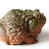 Фэн Шуй "Реальная жаба"